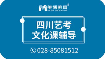 成都藝術生文化課輔導與科技指導